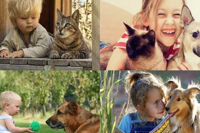 Allergie, passare l'infanzia con un animale diminuisce la possibilit� di contrarle